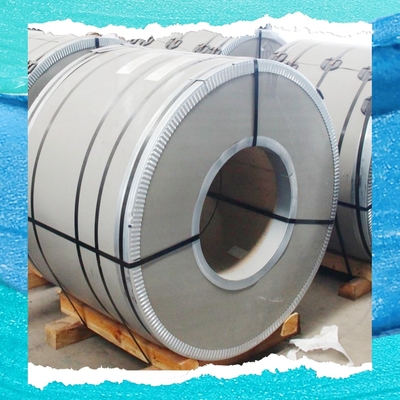 Thermal-Treated 304/L Stainless Steel Coil 3-20mm Thickness Hot Rolled